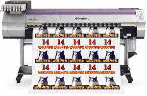 MIMAKI JV33